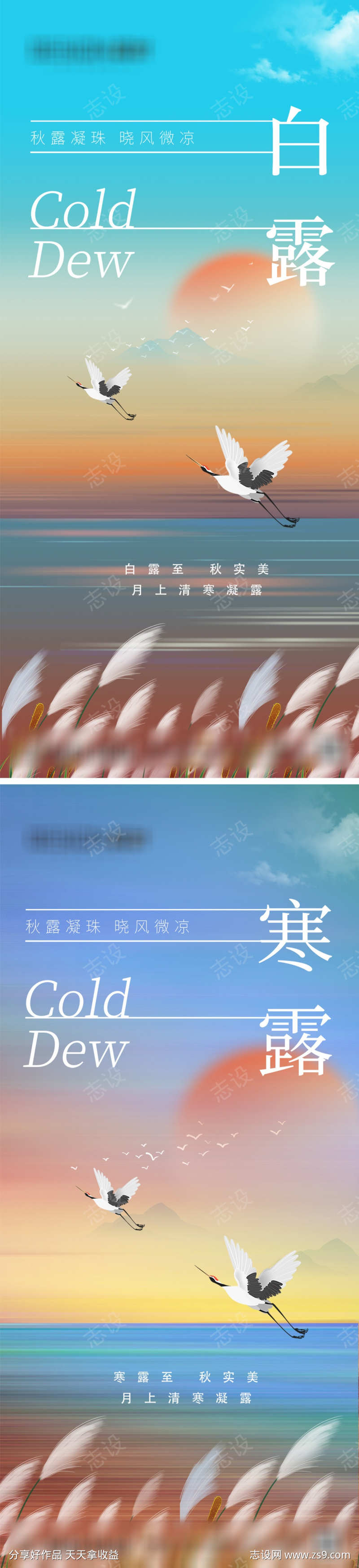 白露寒露节气海报