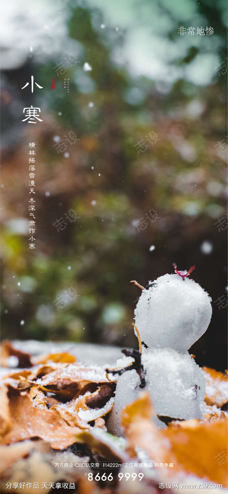 房地产小寒节气海报