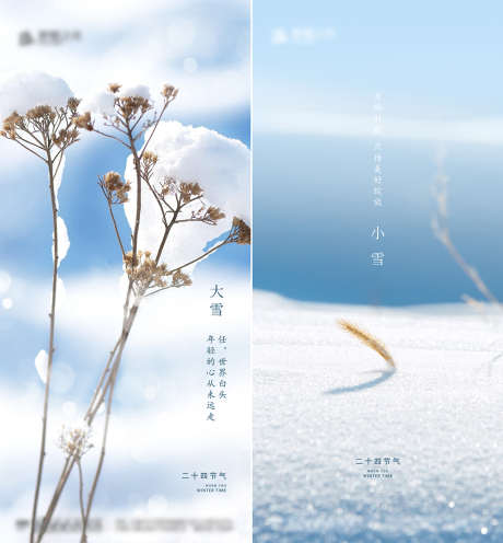 大雪小雪海报_源文件下载_AI格式_4504X9745像素-海报,二十四节气,大雪,小雪,房地产,积雪,枯枝-作品编号:2021110811194333-志设-zs9.com