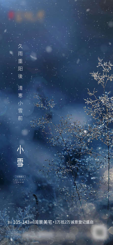 小雪节气移动端海报_源文件下载_PSD格式_1080X2340像素-海报,二十四节气,小雪,树枝-作品编号:2021110913529969-源文件库-ywjfx.cn