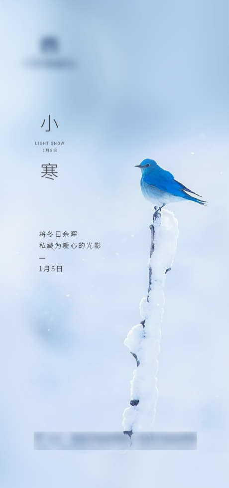 清爽小寒节气海报_源文件下载_PSD格式_1332X2835像素-海报,二十四节气,小寒,冬季,清爽,简约,鸟-作品编号:2022010711122454-源文件库-ywjfx.cn