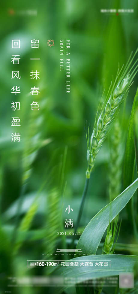 地产小满节气海报_源文件下载_AI格式_1773X3775像素-海报,房地产,小满,二十四节气,麦穗,小麦-作品编号:2022011413595486-志设-zs9.com