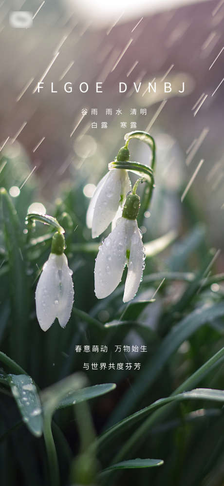 雨水谷雨系列海报_源文件下载_PSD格式_1830X3960像素-海报,二十四节气,雨水,谷雨,清明,简约,风景,系列-作品编号:2022020812086975-志设-zs9.com