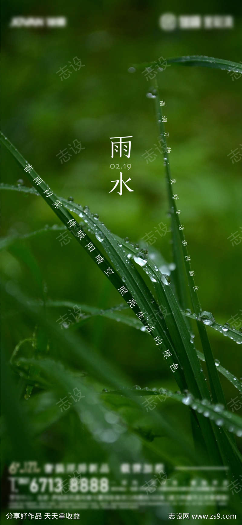 雨水