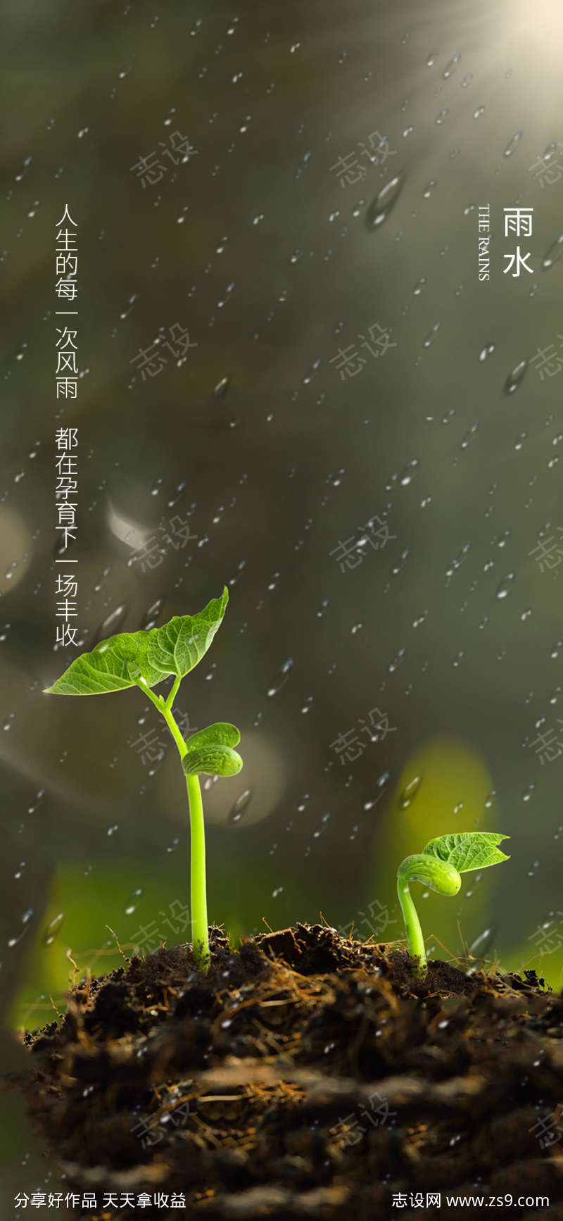 雨水节气海报