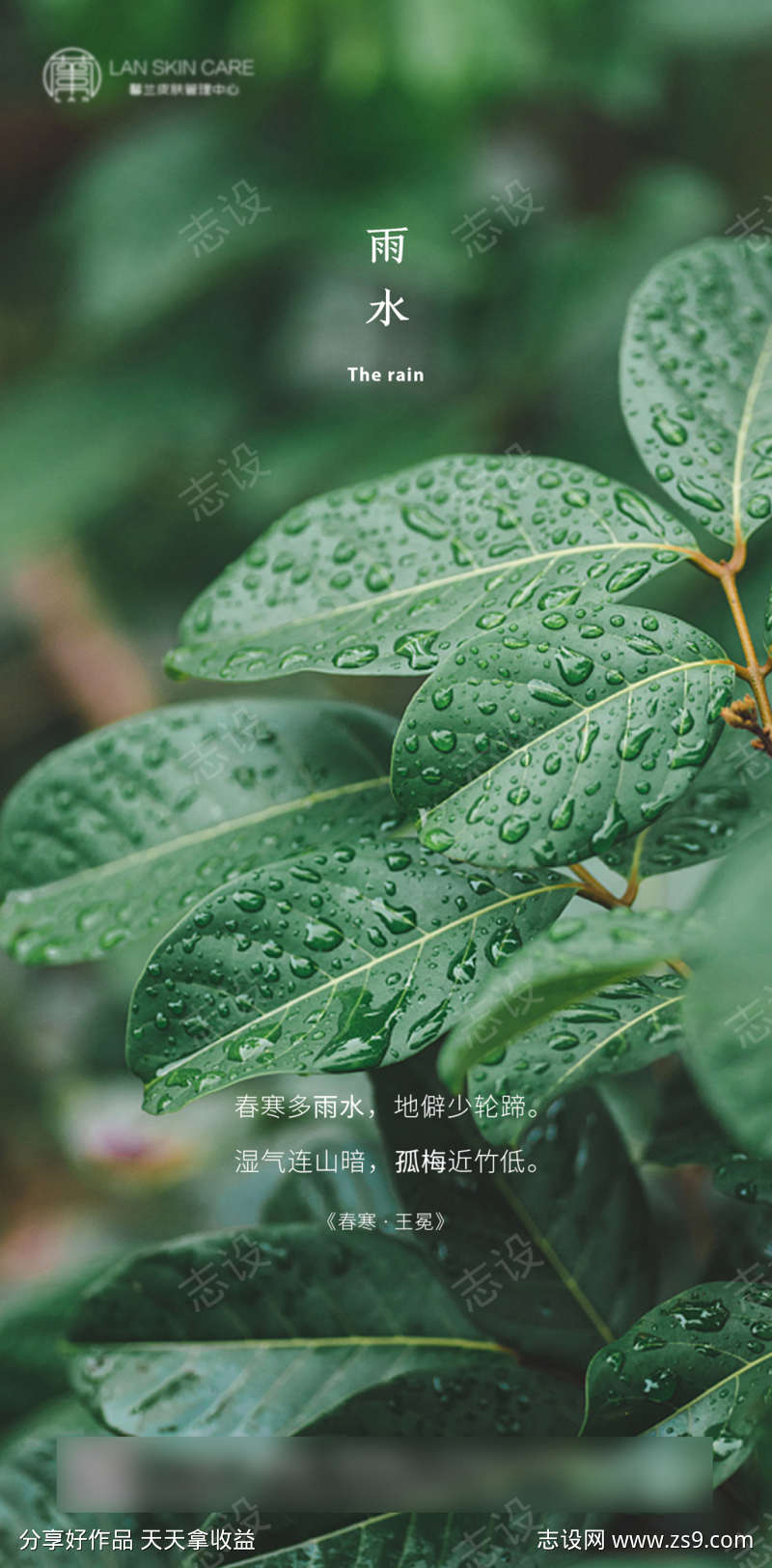 雨水节气海报