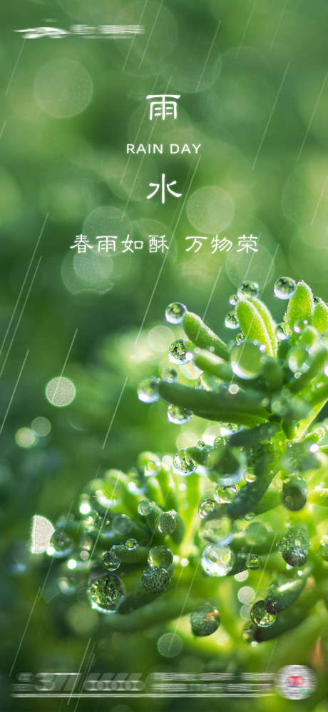 雨水节气海报_源文件下载_PSD格式_1080X2340像素-海报,房地产,雨水,二十四节气,简约,绿叶-作品编号:2022021611391759-源文件库-ywjfx.cn