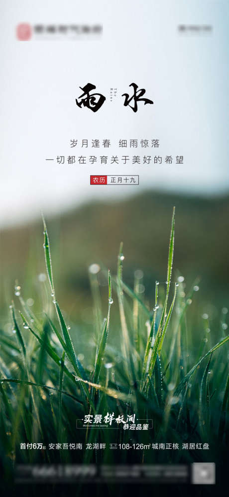 雨水二十四节气海报_源文件下载_CDR格式_1080X2340像素-海报,地产,雨水,二十四节气,绿叶,露珠,简约-作品编号:2022021810016170-源文件库-ywjfx.cn