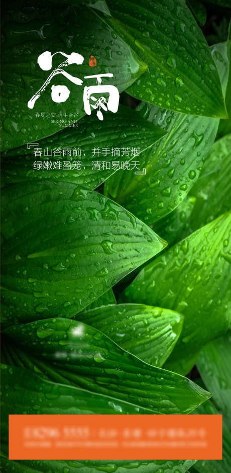 谷雨_源文件下载_CDR格式_2660X5438像素-海报,地产,谷雨,二十四节气,简约,树叶,水珠-作品编号:2022030911358388-源文件库-ywjfx.cn