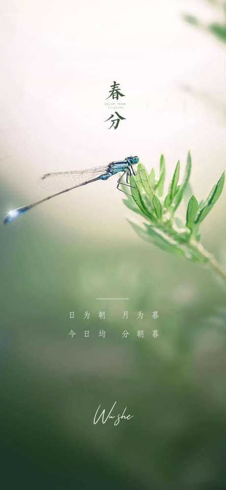 春分节气海报_源文件下载_PSD格式_1080X2340像素-海报,二十四节气,春分,简约,风景-作品编号:2022031014389004-源文件库-ywjfx.cn