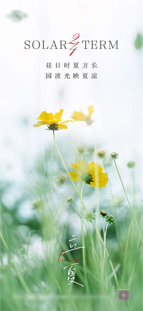 立夏二十四节气系列海报_源文件下载_AI格式_1244X2695像素-海报,二十四节气,立夏,阳光,鲜花,风景,意境,简约-作品编号:2022040912555718-志设-zs9.com