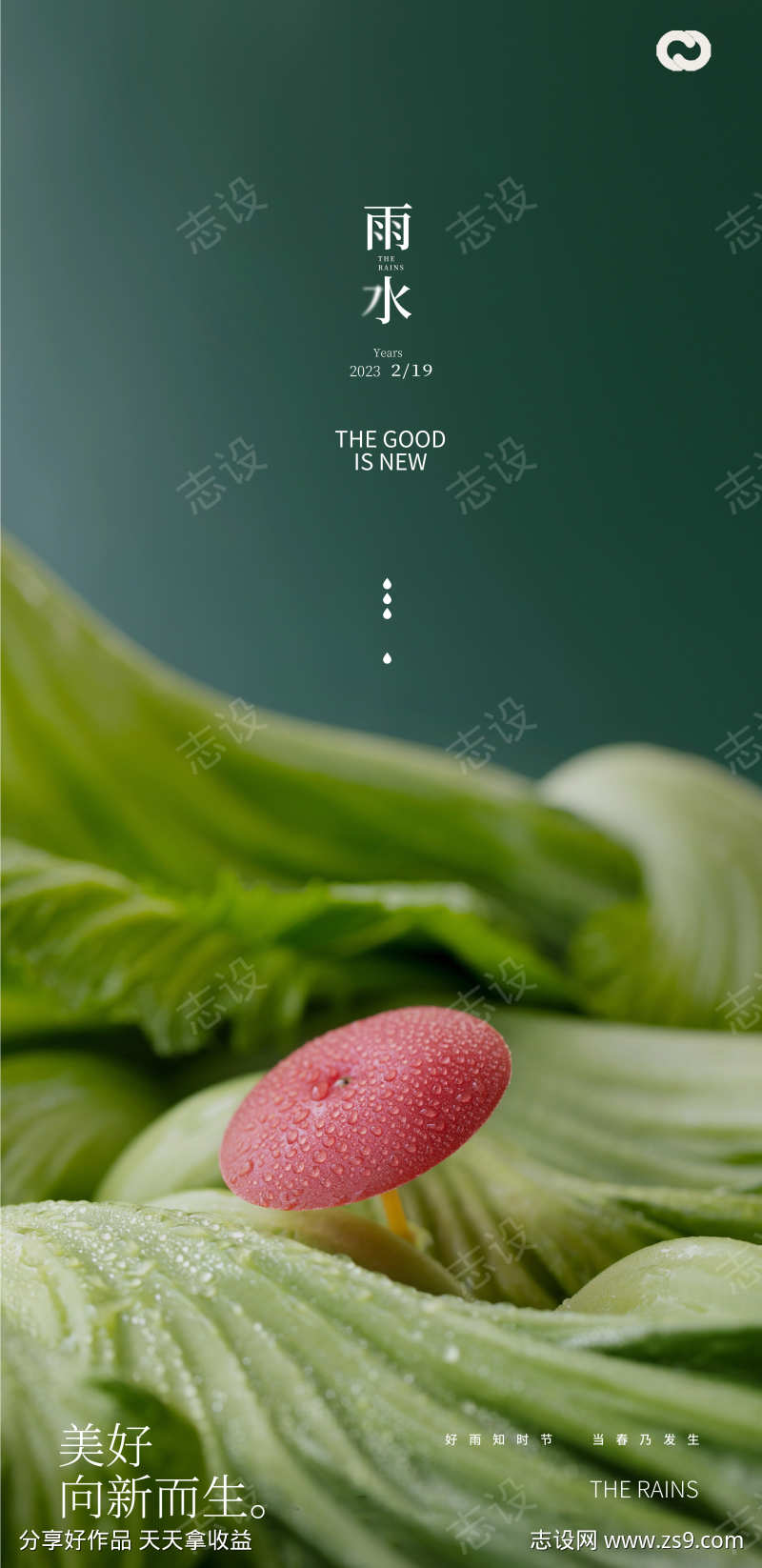 雨水谷雨蔬菜海报