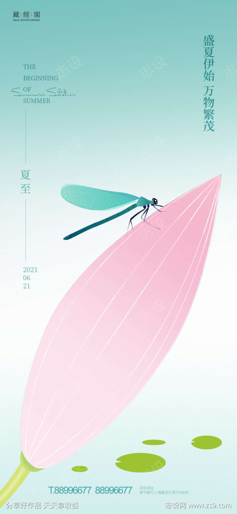 荷花蜻蜓插画