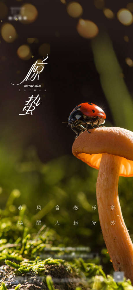 惊蛰节气海报_源文件下载_1169X2533像素-蘑菇,瓢虫,中国传统节日,节气,惊蛰-作品编号:2023030411266274-源文件库-ywjfx.cn