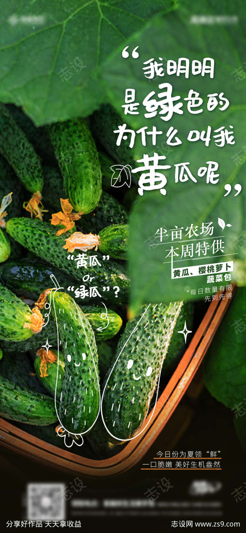 蔬菜农场黄瓜海报