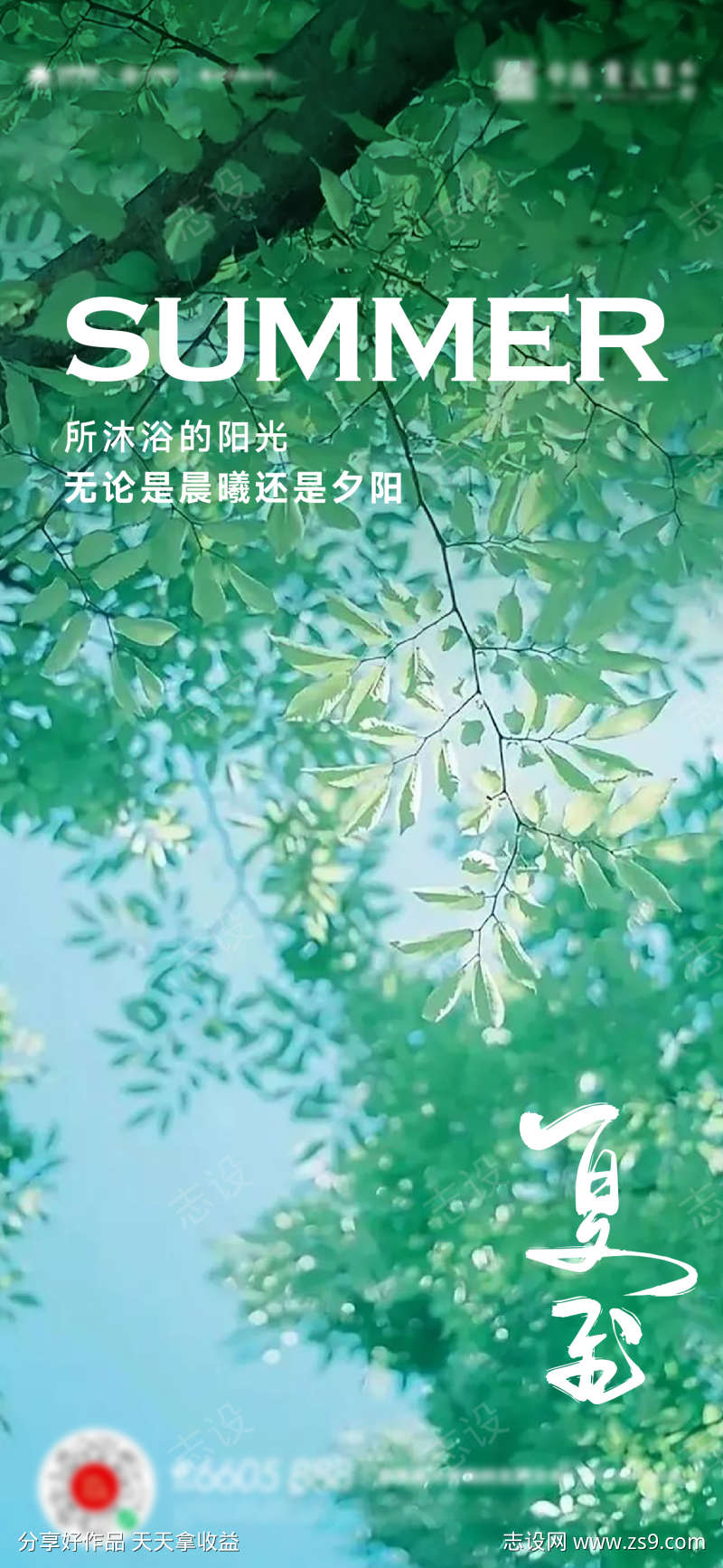 夏至立夏小暑大暑海报