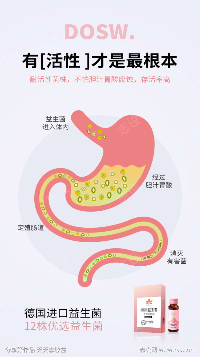 益生菌酵素减肥塑身肠道圈图海报