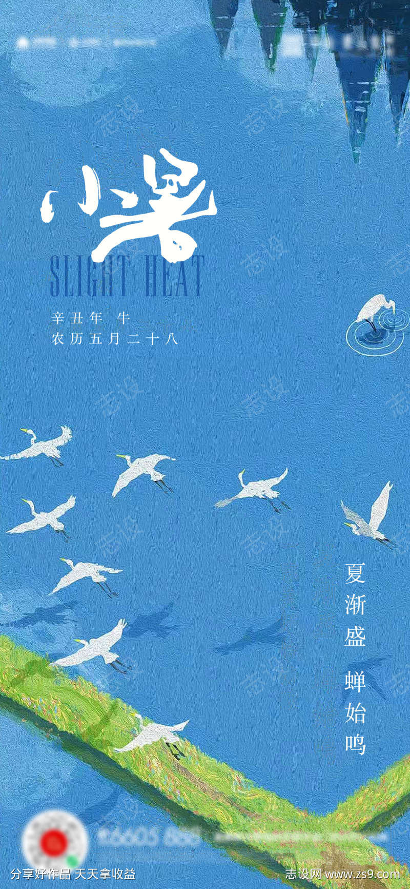 小暑大暑夏至立夏海报