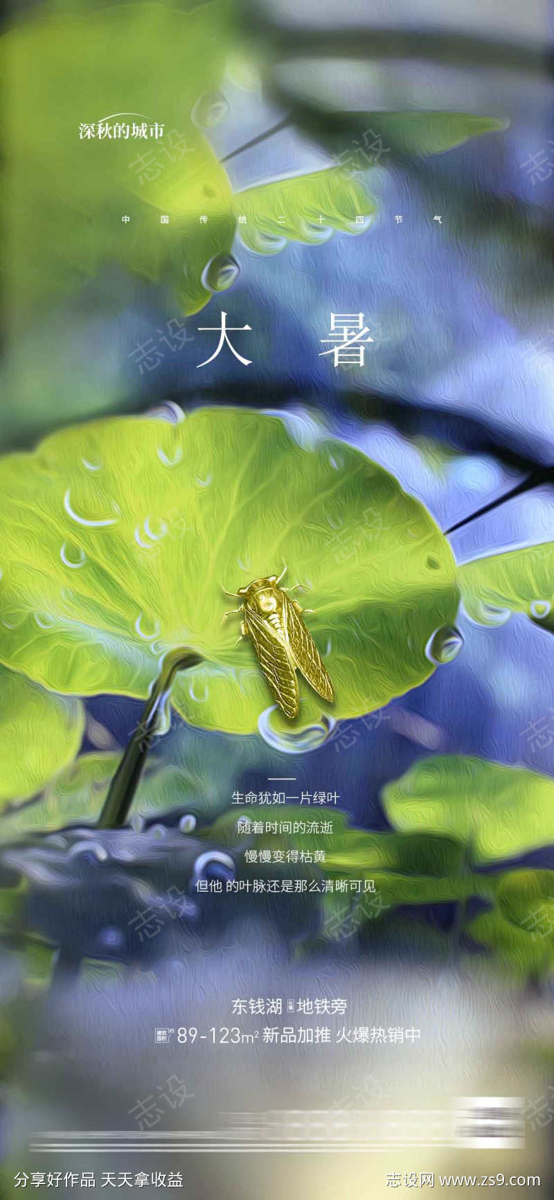 大暑节气