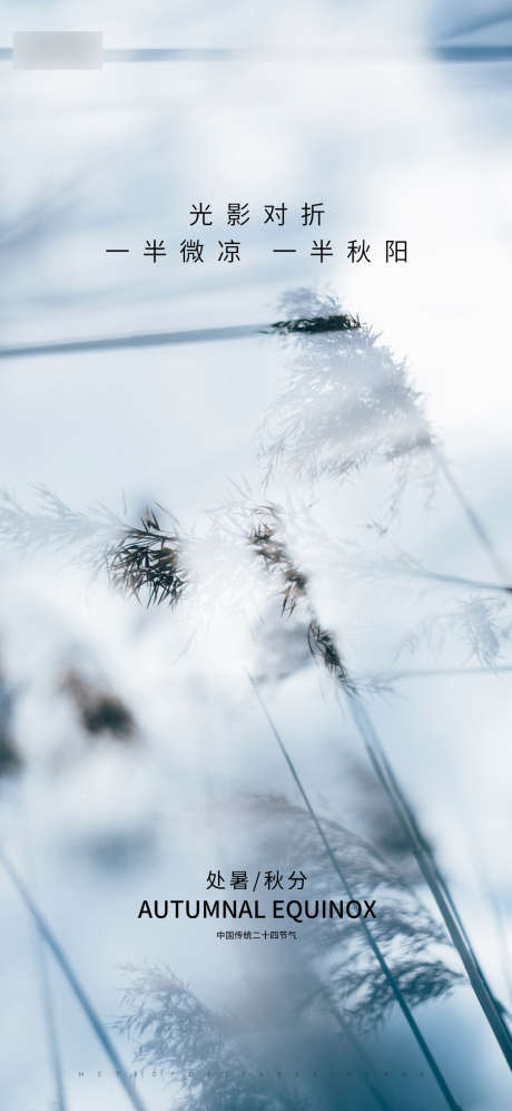 秋分_源文件下载_PSD格式_1080X2340像素-处暑,节气,秋风,对折,光影,竹叶,朦胧-作品编号:2023073013268765-源文件库-ywjfx.cn