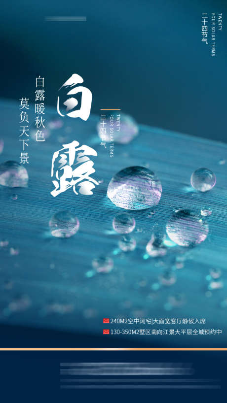 白露节气海报_源文件下载_PSD格式_750X1334像素-节气,水滴,露水,露珠,植物-作品编号:2023081413455008-源文件库-ywjfx.cn