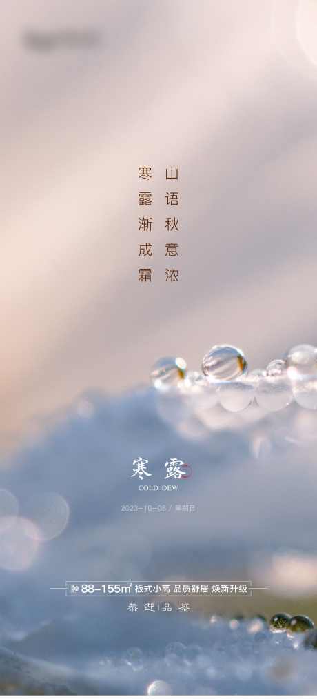 寒露节气海报_源文件下载_2362X5207像素-日常,系列,传统节气,海报,节气,节日,寒露,二十四节气-作品编号:2023092714444605-源文件库-ywjfx.cn