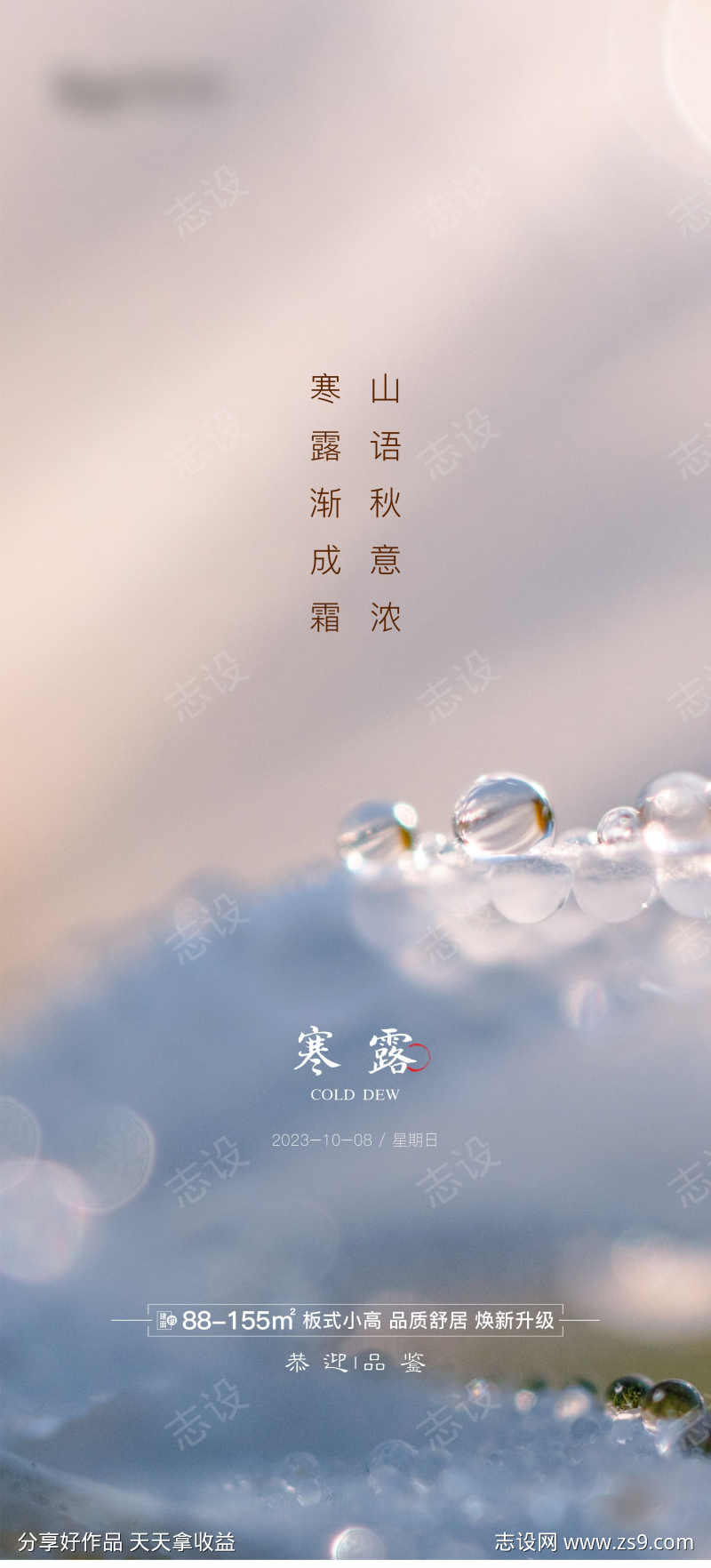 寒露节气海报