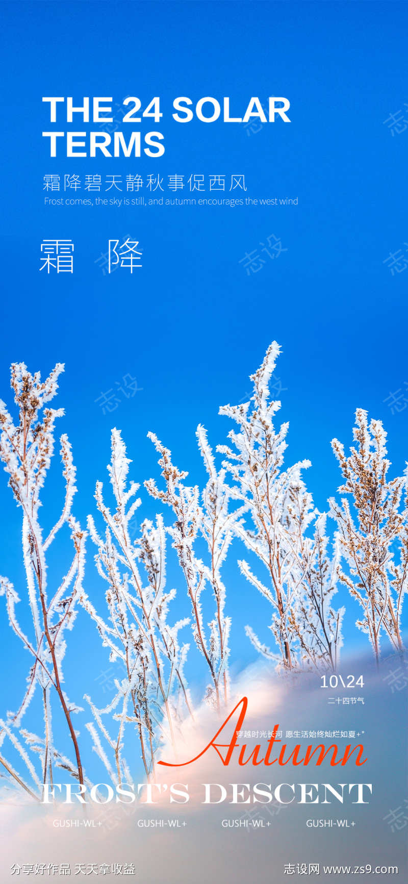 霜降节气海报