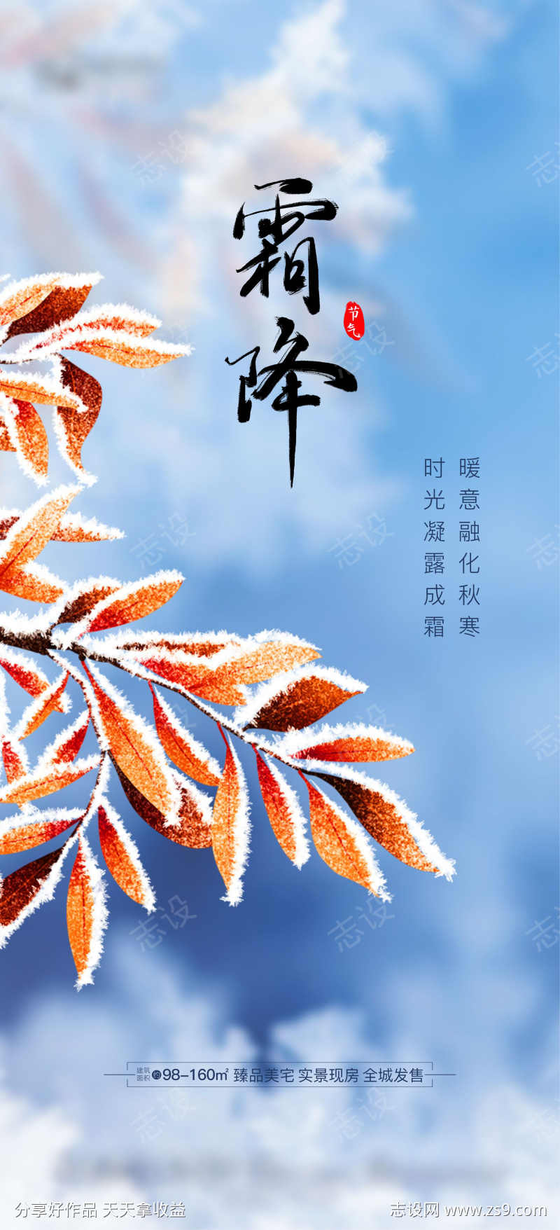 霜降节气海报