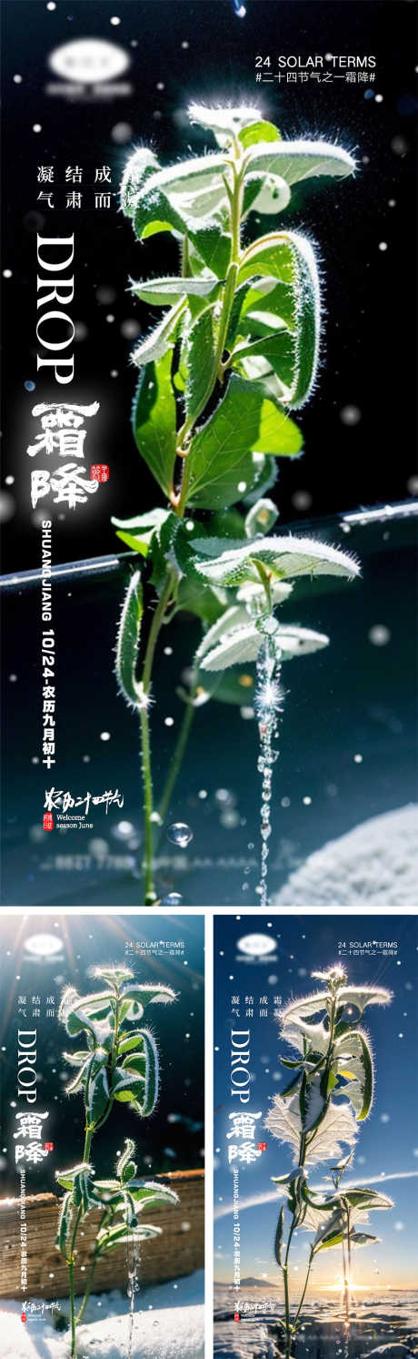 霜降节气海报_源文件下载_PSD格式_1000X3245像素-,雪花,仙鹤,蝉,落叶,房地产,昆虫,银杏,柿子,枫叶,下雪,,,,霜降,,二十四节气,海报-作品编号:2023100911208313-志设-zs9.com