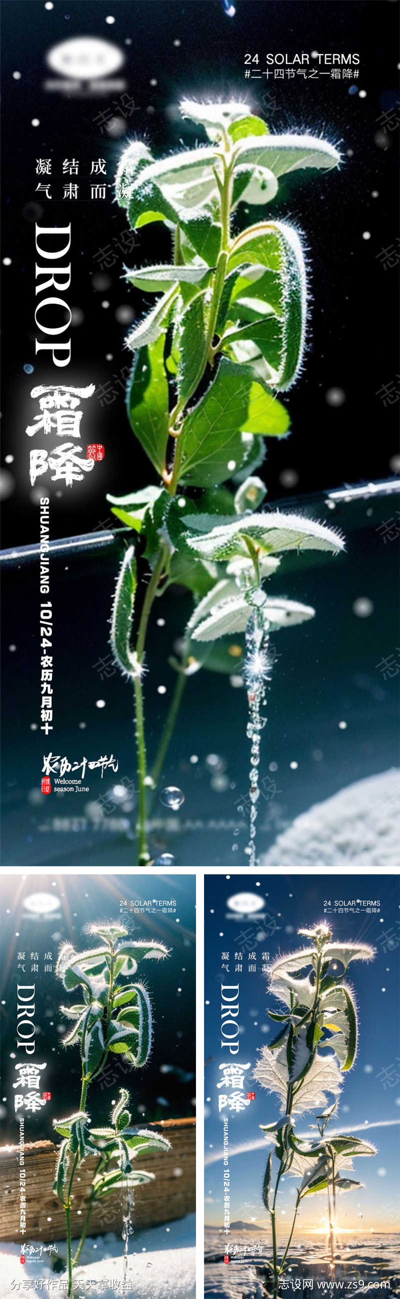 霜降节气海报