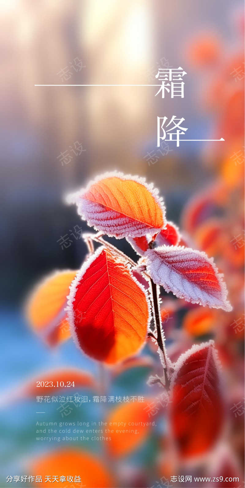 霜降节气海报