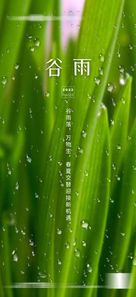 地产谷雨雨水清明节气海报_源文件下载_PSD格式_1080X2348像素-海报,节气,,雨水,谷雨,地产,植物,特写,水滴-作品编号:2023101914503055-源文件库-ywjfx.cn