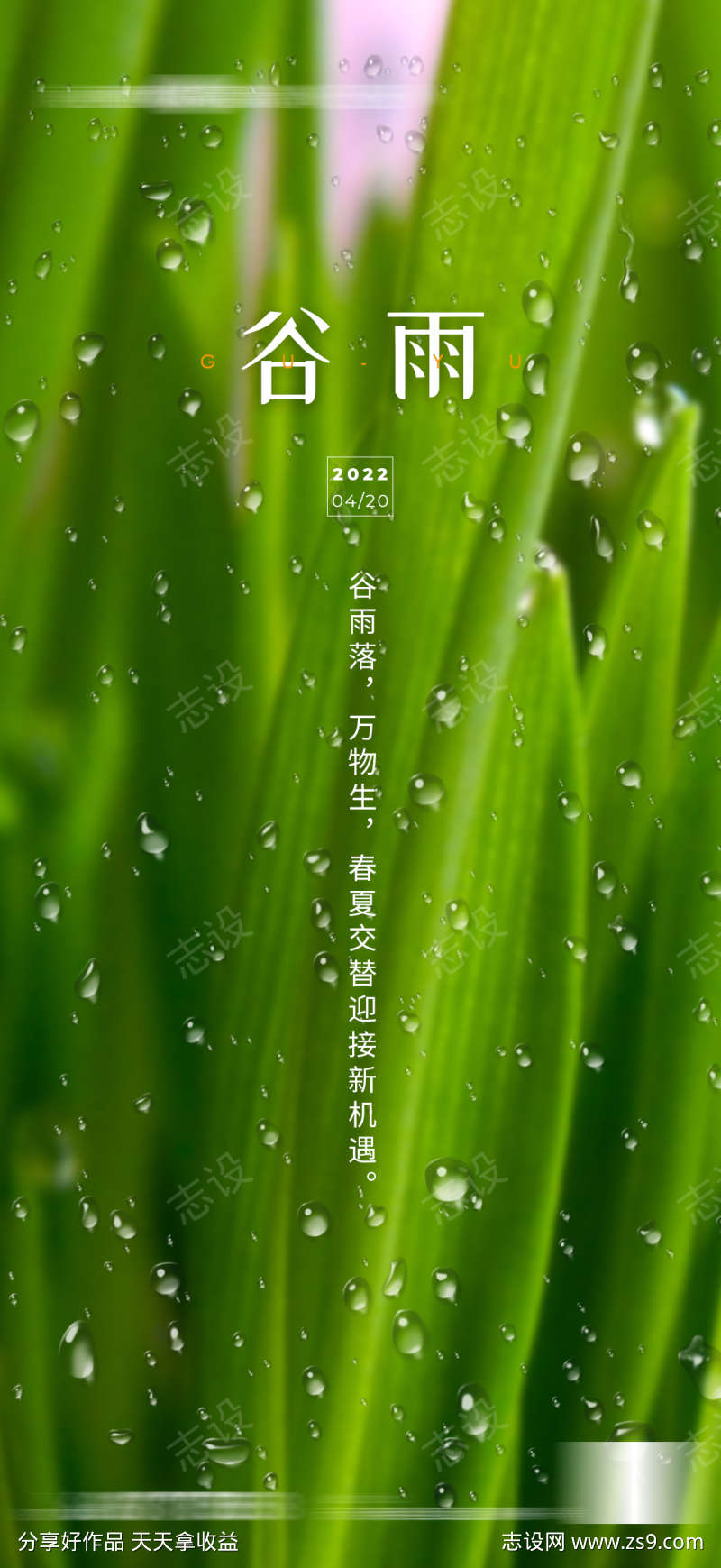 地产谷雨雨水清明节气海报