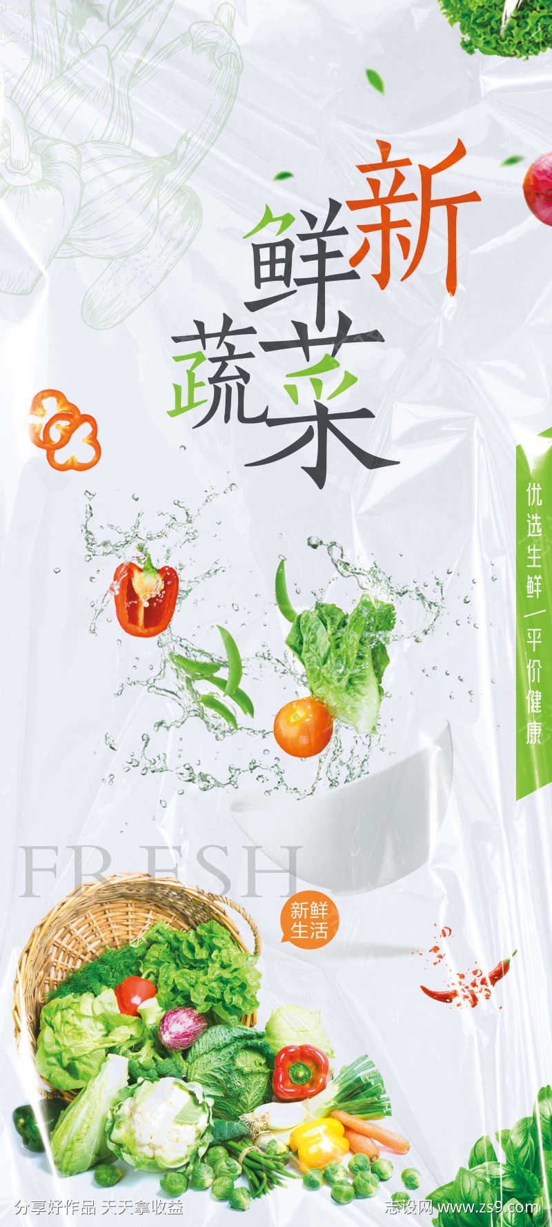 蔬菜海报展板