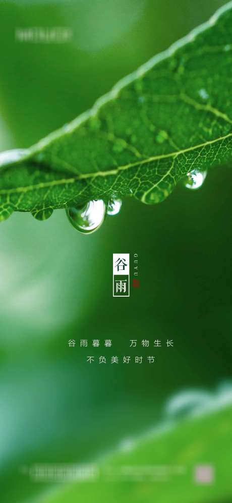 谷雨节气海报_源文件下载_PSD格式_1417X3071像素-,,二十四节气,,,地产,,节气,谷雨,海报-作品编号:2023103011151579-源文件库-ywjfx.cn