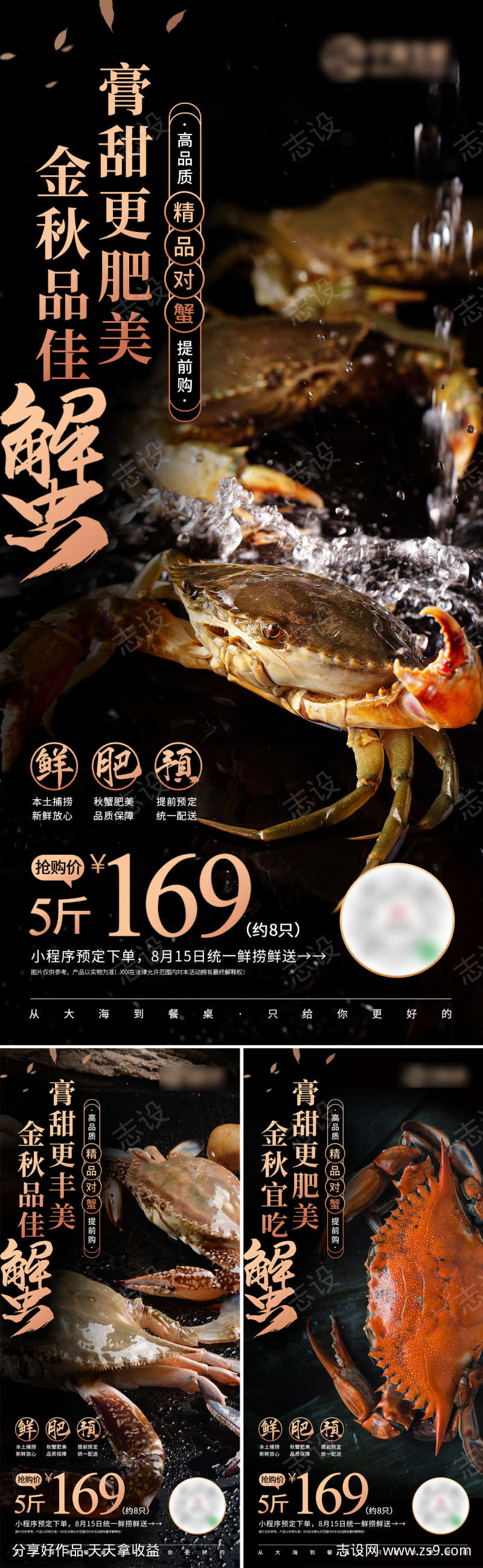 螃蟹促销海报
