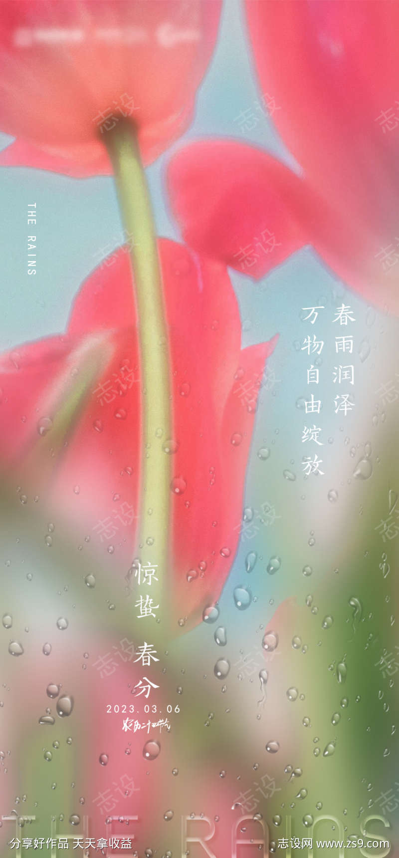 节日节气海报