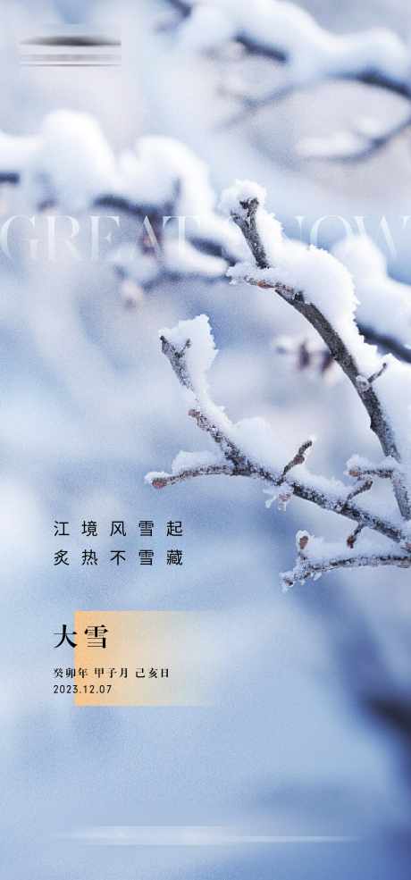 大雪节气海报_源文件下载_AI格式_1334X2856像素-雪花,纹理,冬天,高端,简约,大雪,节气,地产,海报-作品编号:2023120110369280-志设-zs9.com