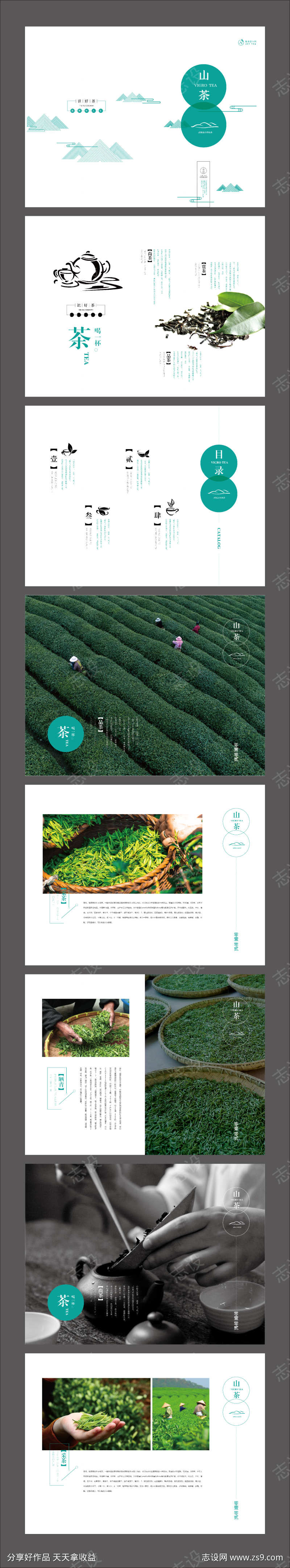 茶叶中国风画册水墨企业宣传画册