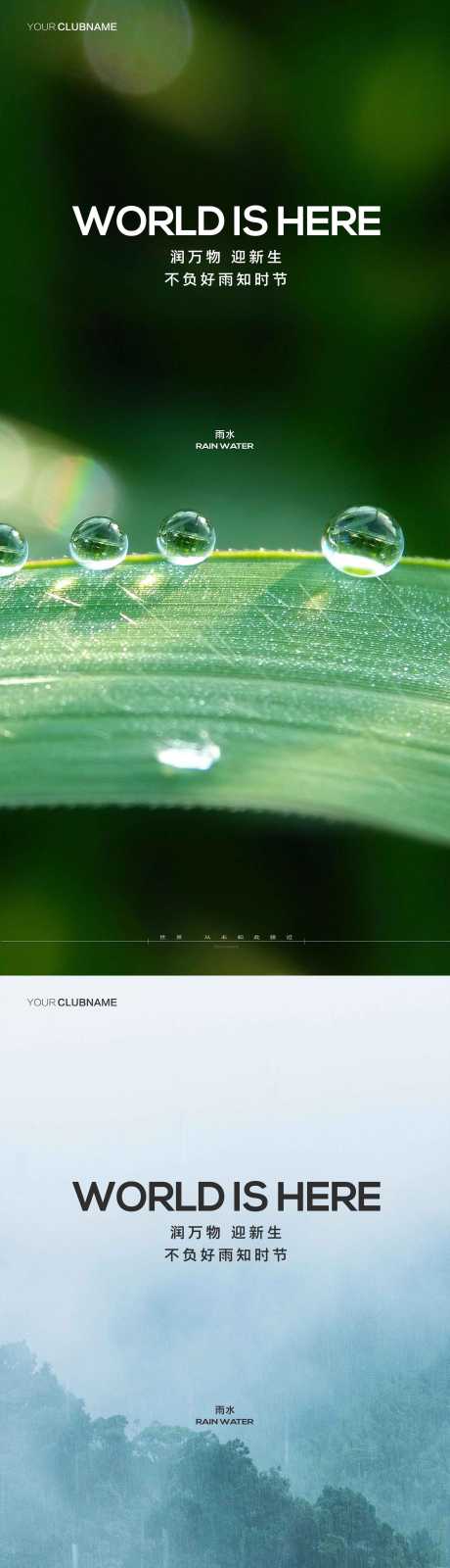 雨水节气海报_源文件下载_PSD格式_2000X4333像素-海报,房地产,二十四节气,雨水,节气海报-作品编号:2024020318133707-源文件库-ywjfx.cn