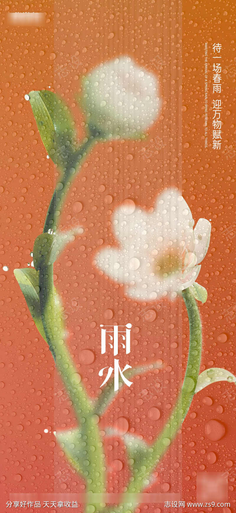 雨水花朵节气海报