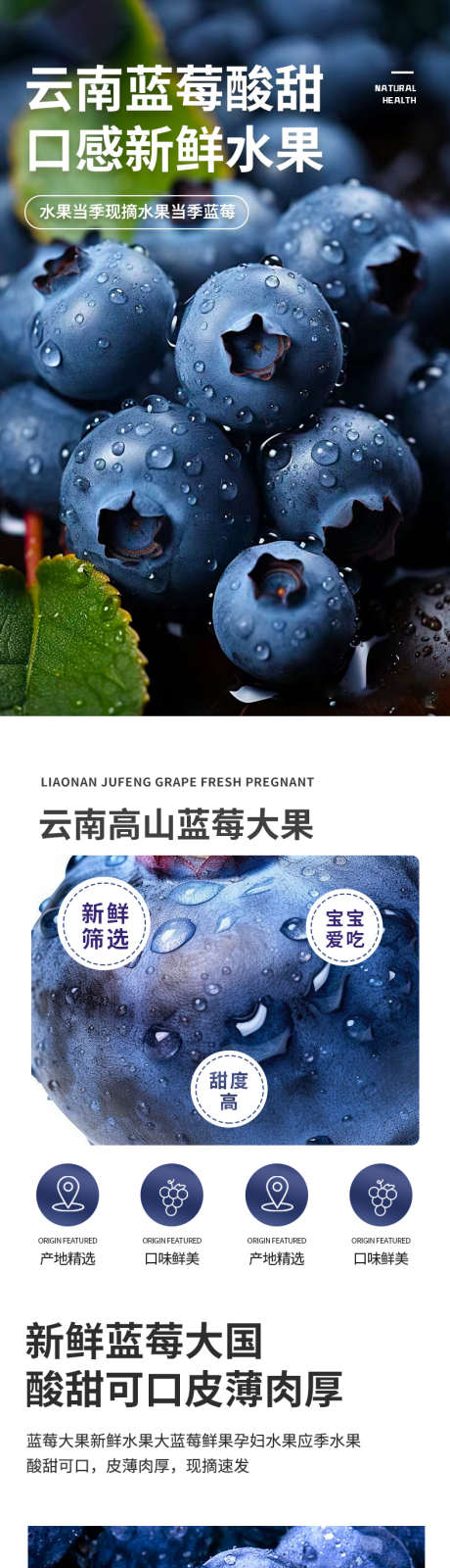 生鲜水果蔬菜蓝莓详情页_源文件下载_PSD格式_790X11084像素-水果干,生鲜,详情页,产地,水果,新鲜,国产,超大果,蓝莓,云南,当季-作品编号:2024021914065680-源文件库-ywjfx.cn