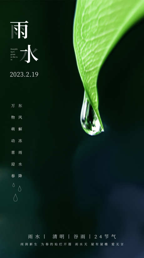 雨水白露竹叶蜻蜓节气海报_源文件下载_PSD格式_1236X2204像素-意境,简约,春天,蛛网,海报,水滴,雨水-作品编号:2024022009362916-源文件库-ywjfx.cn