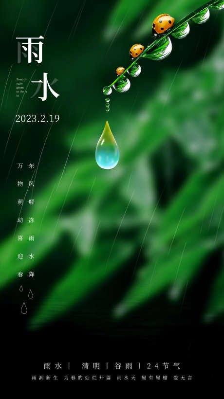 雨水白露竹叶蜻蜓节气海报_源文件下载_PSD格式_1236X2204像素-意境,简约,春天,蛛网,海报,水滴,雨水-作品编号:2024022009363993-源文件库-ywjfx.cn