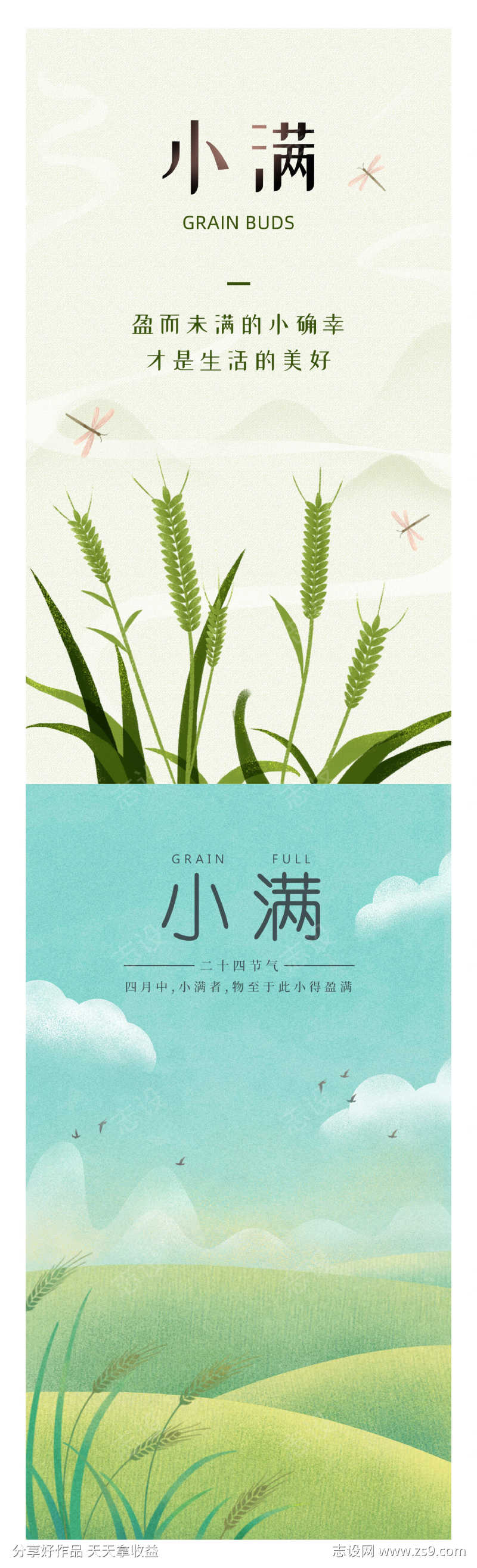 小满节气海报