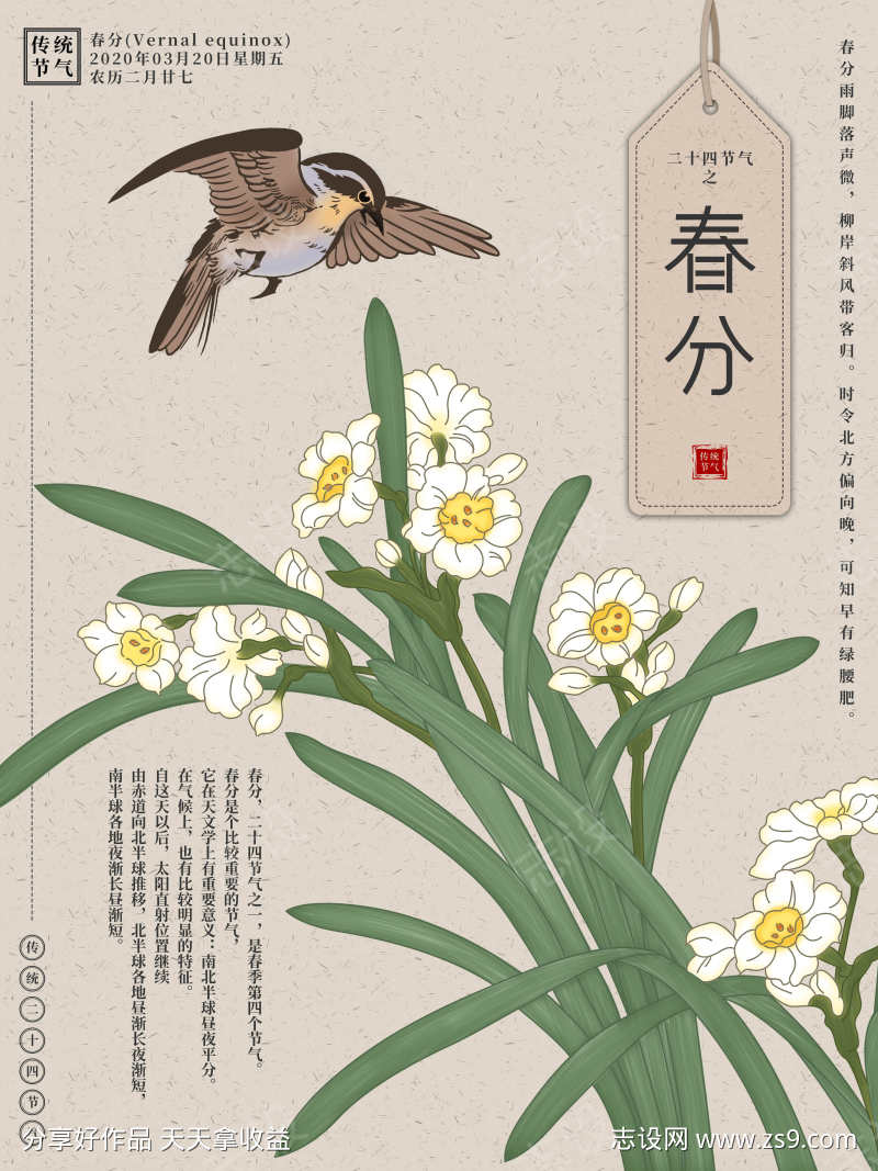 春分春季二十四节气春分春天插画展板海报