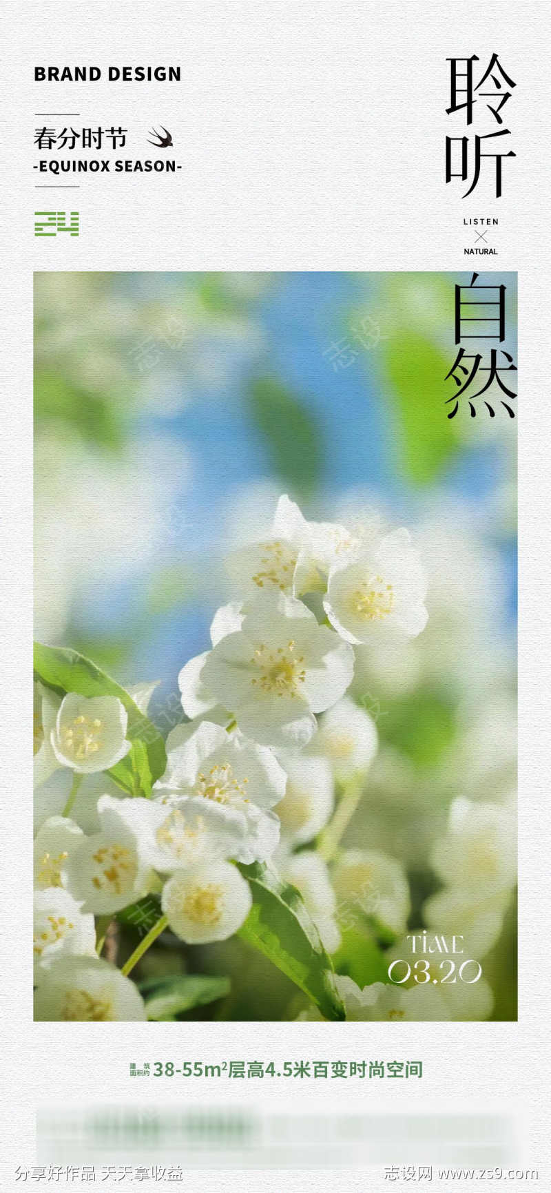 春分节气海报