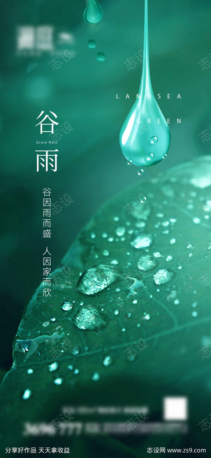 清明谷雨雨水节气海报