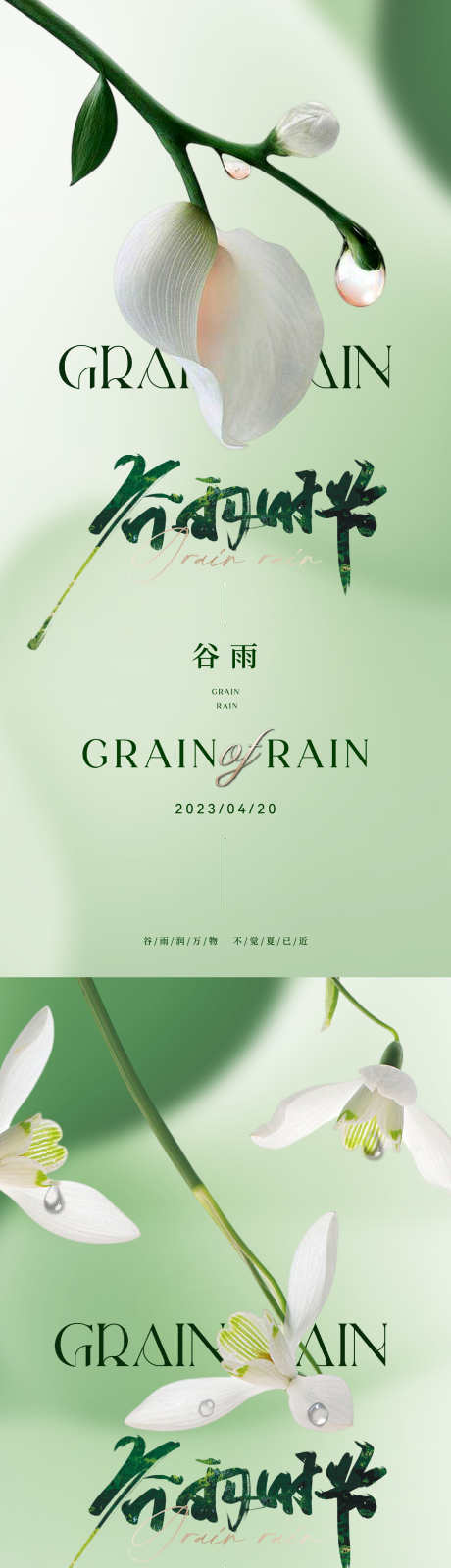 地产医美美业谷雨节气海报_源文件下载_1501X6513像素-高雅,奢华,轻奢,品质,朦胧,弥散,清新,唯美,质感,高级,雨滴,水滴,插花,花,花卉,海报,节气,谷雨,美业,医美,地产-作品编号:2024032311171948-源文件库-ywjfx.cn